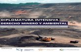 Derecho minero y ambiental - icj.pe · DOCENTES Dr. Luis Panizo Abogado especialista en Derecho Administrativo, Minero, Energético y en normativa legal sobre el proceso de descentalización