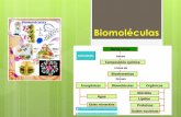 Biomoléculas - sgcciencias.files.wordpress.com · BIOMOLECULAS ORGANICAS. CARBOHIDRATOS Formados por C, O e H.; en una proporción 1:2:1. Se clasifican según el número de unidades