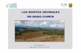 LOS MONTES VECINALES EN MANO COMÚN · Desde el año 1988 hasta el año 2015 la administración forestal firmó 30 convenios de gestión con Montes Vecinales en Mano Común Son montes