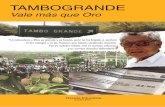 TAMBOGRANDE - fonsmallorqui.org · una hacienda, quien con esfuerzo, ingenio y disciplina posee ahora prósperos huer-tos de mangos y limones (ver recuadro). Actualmente, la producción
