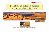 Ruta Ruta pelspelspelsoasis oasis presaharians Marroc ICO.pdf · Esmorzar a l’hotel, breu reunió de grup i sortida cap a Erg Chebbi, passarem pel coll de Tizi en Tinifift (1660m)