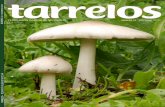  · Torrendia pulchella (= Amanita torrendii): un fungo secotioide presente en Galicia. REFERENCIAS BIBLIOGRÁFICAS BOUGHER, N.L. (1996). Notes on Torrendia, and a request