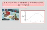 3. Crecimiento, cultivo y metabolismo bacteriano file03.02.2019 · (Embden-Meyerhof) Glucosa 6-fosfato Gliceraldehido 3-P. Ciclo de Krebs. Fosforilación oxidativa. Fermentación