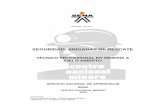SEGURIDAD: BRIGADAS DE RESCATEs48eb3e6ebabe5db6.jimcontent.com/download/version/1313848444/module... · INTERCOR Centro Nacional Minero – SENA Regional Boyacá Validación T.P.