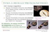 TEMA 2: BIOELECTROMAGNETISMO - ocw.uv.esocw.uv.es/ciencias/fisica/clase12.pdf · En definitiva, las agujas imantadas SE ORIENTAN con la Tierra, la magnetita y las corrientes eléctricas