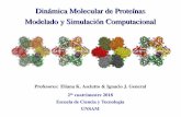 Dinámica Molecular de Proteínas Modelado y Simulación ... · Dinámica Molecular – UNSAM – 2017 Recordar que la estabilidad de un sistema físico a presión (volumen) constante