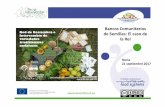 Bancos Comunitarios de Semillas: El caso de la ReI · DE SEMILLAS (ReI) grupo abierto y multidisciplinar formado por agricultores y agricultoras, consumidores y consumidoras, hortelanos