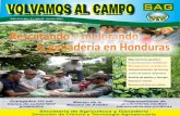 Edición No. 3 / Abril - Junio 2011 Rescatando y mejorando ...-DICTA--II-trimestre,-R.pdfCrece hato ganadero en Honduras Gramíneas Forrajeras Nombre Científico Nombre Común en Honduras