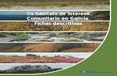 Os hábitats de Interese Comunitario en Galicia. Fichas ... · fragmentos rochosos de rochas carbonatadas situados dentro do piso supratemperado e, con frecuencia, expostos a unha