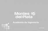 Academia de Ingeniería - Inversiones Forestales en Uruguay DEL PLATA Academia de... · 41,000 ha en arriendo ... 1 pie = 1.850 ton PP . Conflictos y prácticas laborales • Ineficiencias