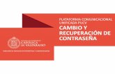 Cambio y Recuperación de Contraseña - dsic.pucv.cldsic.pucv.cl/wp-content/uploads/2014/05/CAMBIO-Y-RECUPERACION-DE... · cional y Navegador Académico será a través de una contraseña