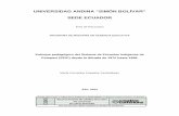 UNIVERSIDAD ANDINA “SIMÓN BOLÍVAR” SEDE ECUADORrepositorio.uasb.edu.ec/bitstream/10644/3787/1/T1349-MGE-Poaquiza... · alfabetización con la metodología de Paulo Freire, de