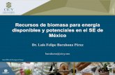 Recursos de biomasa para energía disponibles y potenciales ...rtbioenergia.org.mx/wp-content/uploads/2016/11/Recursos-de-biomasa-para... · Recursos de biomasa para energía disponibles