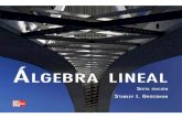 Álgebra Lineal - sb46f5727470feb20.jimcontent.comsb46f5727470feb20.jimcontent.com/download/version/1456022235/module... · 4.2 Definición y propiedades básicas 281 4.3 Subespacios