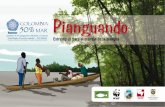Potencial productivo de las poblaciones naturales de la ...awsassets.panda.org/downloads/carrtilla_pianguando_web_2.pdf · cendientes del Pacífico colombiano, quienes la han explotado
