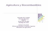 Agricultura y Biocombustibles - ODEPAodepa.gob.cl/odepaweb/publicaciones/SemBiocombustibles/00... · zSeguridad energética - Política de Estado para biocombustibles (importaciones