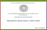 Marcadores Moleculares: SSR e ISSR - conacyt.gov.py · •Adquirir entrenamiento en empleo de marcadores moleculares SSR e ISSR para la caracterización molecular de especies vegetales.