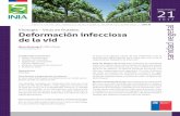 Virología – Virus en frutales: Deformación infecciosa€¦ · giones donde se cultiva la vid. Las pérdidas causadas por Grapevine fan leaf van en el orden de 5% hasta 90% o más,