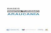 Bases Innova Turismo Araucanía 8-2 - centrodeinnovacion.uc.clcentrodeinnovacion.uc.cl/assets/uploads/2019/02/bases-innova-turismo... · pesos) cada uno, para desarrollar sus proyectos