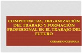 COMPETENCIAS, ORGANIZACIÓN DEL TRABAJO Y FORMACIÓN ...englishbulletin.adapt.it/wp-content/uploads/2019/01/Gerardo_Cedrola… · 4.COMPETENCIAS, ORGANIZACIÓN DEL TRABAJO Y FORMACION