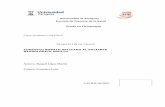NEUROLÓGICO ADULTO CONCEPTO BOBATH APLICADO AL …invenio2.unizar.es/record/30870/files/TAZ-TFG-2012-353.pdf · La alteración de la sensibilidad propioceptiva, junto con una alteración