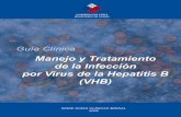 Guía Clínica 2009 Manejo y Tratamiento de la Infección por ... · Guía Clínica 2009 Manejo y Tratamiento de la Infección por Virus de Hepatitis B Ministerio de Salud Subsecretaría