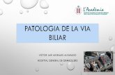 PATOLOGIA DE LA VIA BILIAR - academia.cat · • Neoplasia vesicular: 5º frecuencia del tracto digestivo y más frecuente de la vía biliar • Más frecuente en mujeres y en edades