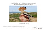 Estudi de la migració prenupcial dels ocells transaharians file3 – CAMP DE TREBALL 7 4 ... o prenupcial de tots els ocells transaharians al seu pas per la Mediterrània, i més