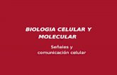 BIOLOGIA CELULAR Y MOLECULAR - plmenna.blog.unq.edu.ar‘ALES.pdf · Figura 15-53 Biología molecular de la célula, quinta edición (© Garland Science 2008 y Ediciones Omega 2010)