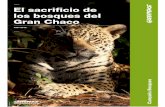 INFORME El sacrificio de los bosques del Gran Chaco FINALgreenpeace.org.ar/pdf/2019/07/INFORME El sacrificio de los bosques del... · histórico sobre un lugar único: el Gran Chaco,