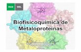 Biofisicoquímica de Metaloproteínas - fbcb.web1.unl.edu.ar · - Cofactores (coenzimas, grupos prostéticos) - Tipos de cofactores. TEMA 1: Generalidades y conceptos básicos Los