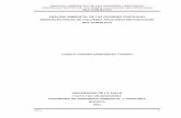 ANALISIS AMBIENTAL DE LAS GRANDES CENTRALES ...repository.lasalle.edu.co/bitstream/handle/10185/14037/T41.11 H430a.pdf · analisis ambiental de las grandes centrales hidroelectricas