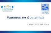 Patentes en Guatemala - iia.fausac.gtiia.fausac.gt/wp-content/uploads/2016/05/PatentesGuatemala.pdf · una combinación de palabras, letras y cifras. Pueden consistir asimismo en
