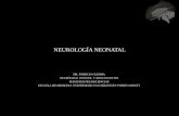NEUROLOGÍA NEONATAL - doctorpatricioguerra.cl Neonatal USS 2017.pdf · -lesiÓn plexo braquial inferior (c8-t1): parÁlisis de klumpke (4%)-habitualmente unilateral (5% bilateral),