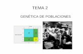 GENÉTICA DE POBLACIONES - bioinfo2.ugr.es molecular.pdf · • Tasa de mutación: numero de mutaciones nuevas por gen y por gameto • Unos genes tienen más posibilidades de mutar