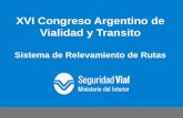XVI Congreso Argentino de Vialidad y Transitocongresodevialidad.org.ar/congreso2012/conferencias-especiales/... · • Entre 20 y 50 millones de heridos por año. ... Badén Cruce