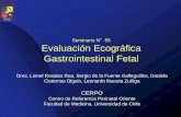 Seminario N Evaluación Ecográfica Gastrointestinal Fetalcerpo.cl/_items/File_002_00657_0029.pdf · Quiste del Uraco • Persistencia del Uraco, divertículo del Uraco y quiste del