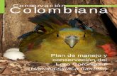 Conservación Colombiana - proaves.org · del Quindío (CRQ), a través del “Plan de manejo y conservación del Loro Coroniazul” presentado en este volumen, producto de seis años