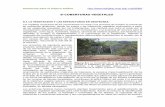 Geotecnia para el trópico andino ...bdigital.unal.edu.co/53560/36/coberturasvegetales.pdf · suelos por la acción de los concretos donde se alcanzan humedades bajas, que no garantizan