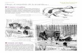 Dibujo, el esqueleto de la acuarela - tantatinta.comtantatinta.com/images/Apunte-de-acuarela6-TantaTinta-Dibujo.pdf · Dibujo, el esqueleto de la acuarela (hoja 2) Investigación