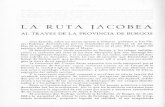 LA RUTA JACOBEAriubu.ubu.es/bitstream/10259.4/1717/1/0211-8998_n164_p528-559.pdf · el polvo del camino. E3ELORADO En los umbrales de la primitiva Castilla, el camino de Santiago