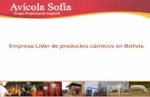 Empresa Líder de productos cárnicos en Bolivia200.37.9.27/dataarchivoccl/ccex/cainco - 2 casos.pdfevisceración de pollos, mediante una seria de pruebas e iniciativas de los empleados,