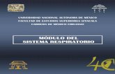 MÓDULO DEL SISTEMA RESPIRATORIO CMC 2015/CICLO III/M.S... · integran sus relaciones a través del estudio de algunas entidades y modelos de Síndromes representativos del Sistema