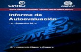 Dr. Inocencio Higuera Ciapara · Informe de Autoevaluación 1er. Semestre 2014 - CIATEJ, A.C. Página  1 DESARROLLO Y AVANCE DE PROYECTOS DE INVESTIGACIÓN, DESARROLLO TECNOLÓGICO