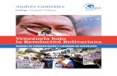 Venezuela bajo la Revolución Bolivariana - cadal.org · diferencias entre los cuatro países, tienen en común que sus medios no son ni libres ni totalmente autoritarios, sino una