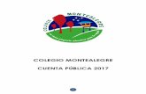 COLEGIO MONTEALEGRE CUENTA PÚBLICA 2017colegiomontealegre.cl/pdf/info-comunidad/Cuenta_publica_2017.pdf · - 2 proyectores móviles para salas de clases. - 2 telones móviles para
