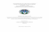 Formulacion y evaluación sensorial de una bebida tipo atol ... Tg(894)Ali.pdf · CARRERA DE INGENIERÍA EN ALIMENTOS TRABAJO DE GRADUACIÓN Formulación y evaluación sensorial de