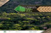 CADENA PRODUCTIVA de madera certificada en comunidades ... · Plan Operativo Anual Asociación Comunal de Productores de Madera Certificada Resolución Jefatural Resolución Suprema