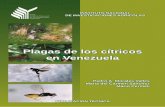 Plagas de los cítricos en Venezuela · El manejo de plagas en los cítricos debe tomar en consideración que en los cultivos perennes, ocurren equilibrios entre las plagas y sus
