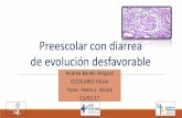 Andrea Bailén Vergara ESCOLARES HGUANDROME... · •Clasificación basada en la presencia de diarrea puede ser engañosa. Etiología II SHU asociado a infección SHU atípico SHU